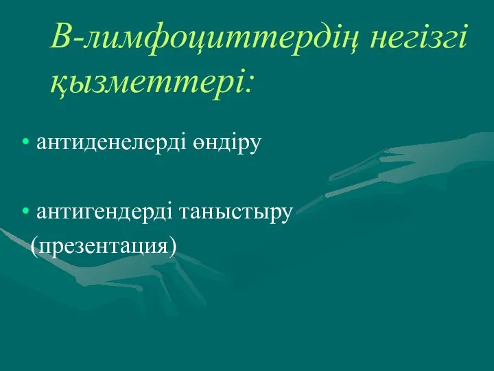 В-лимфоциттердің негізгі қызметтері: антиденелерді өндіру антигендерді таныстыру (презентация)