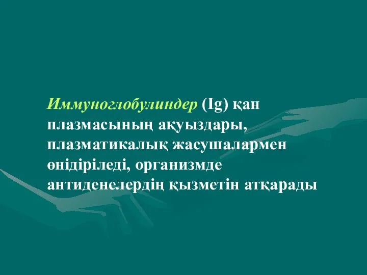 Иммуноглобулиндер (Ig) қан плазмасының ақуыздары, плазматикалық жасушалармен өнідіріледі, организмде антиденелердің қызметін атқарады