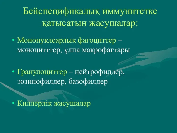 Бейспецификалық иммунитетке қатысатын жасушалар: Мононуклеарлық фагоциттер – моноцитттер, ұлпа макрофагтары Гранулоциттер