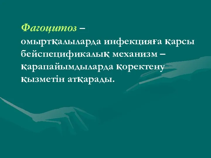 Фагоцитоз – омыртқалыларда инфекцияға қарсы бейспецификалық механизм – қарапайымдыларда қоректену қызметін атқарады.