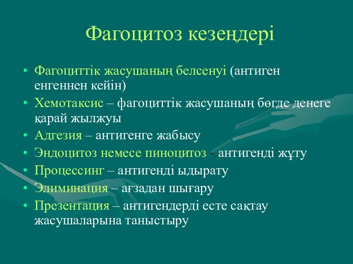 Фагоцитоз кезеңдері Фагоциттік жасушаның белсенуі (антиген енгеннен кейін) Хемотаксис – фагоциттік