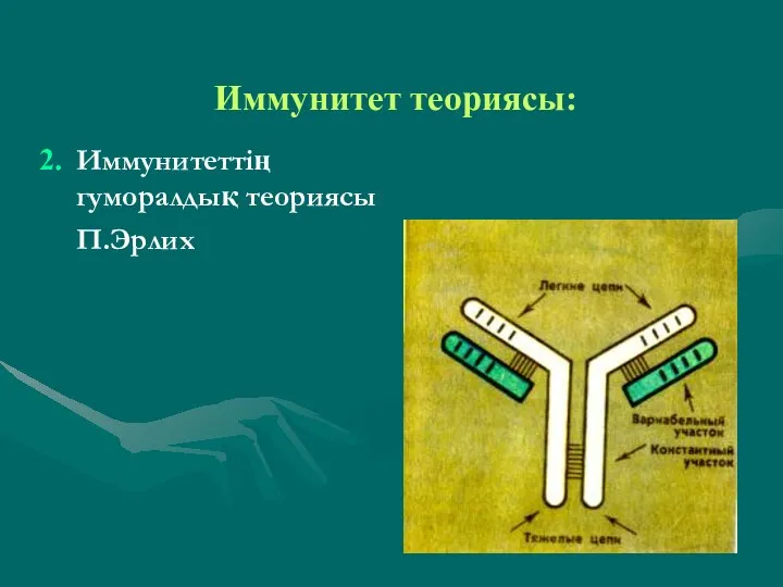 Иммунитет теориясы: Иммунитеттің гуморалдық теориясы П.Эрлих