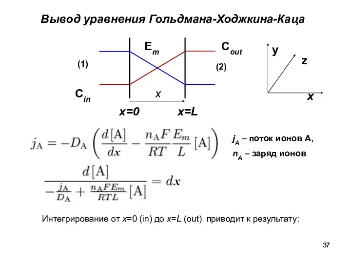Вывод уравнения Гольдмана-Ходжкина-Каца y Интегрирование от x=0 (in) до x=L (out)