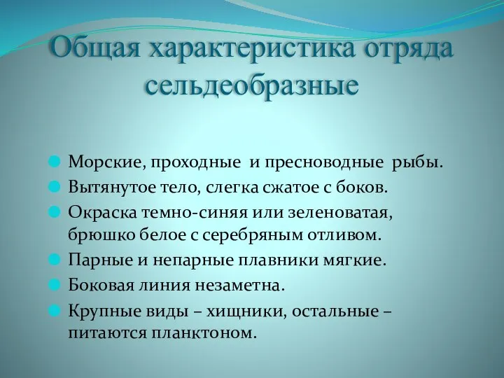 Общая характеристика отряда сельдеобразные Морские, проходные и пресноводные рыбы. Вытянутое тело,