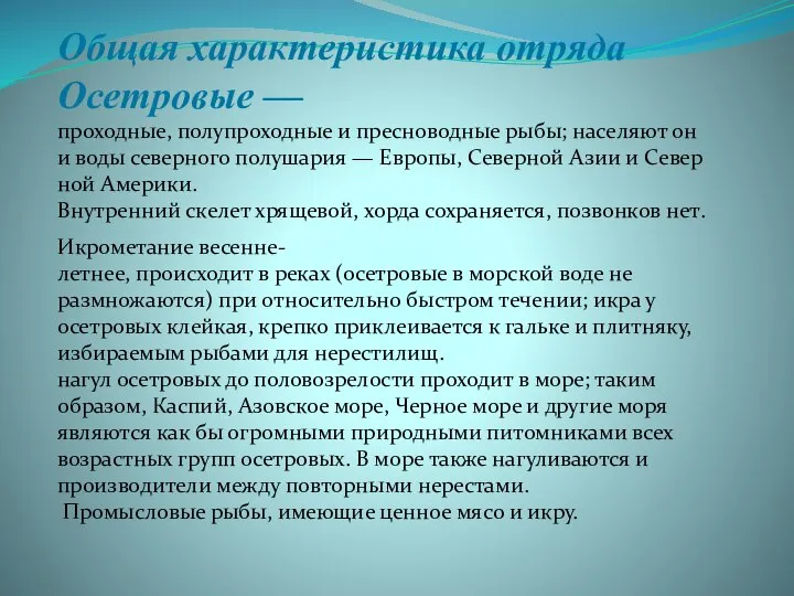 Общая характеристика отряда Осетровые —проходные, полупроходные и пресноводные рыбы; населяют они