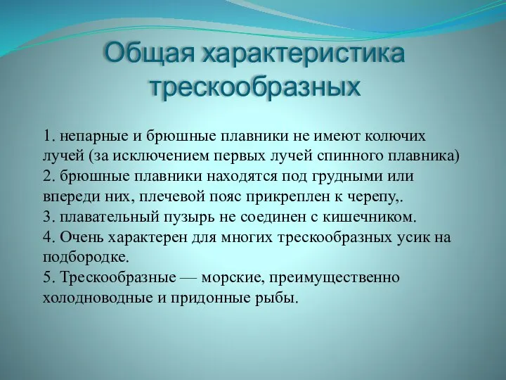 Общая характеристика трескообразных 1. непарные и брюшные плавники не имеют колючих