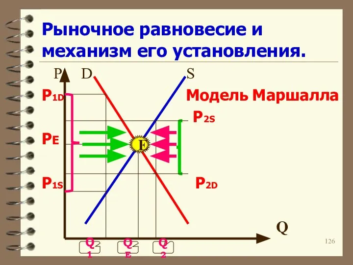 Рыночное равновесие и механизм его установления. P D S P1D Модель