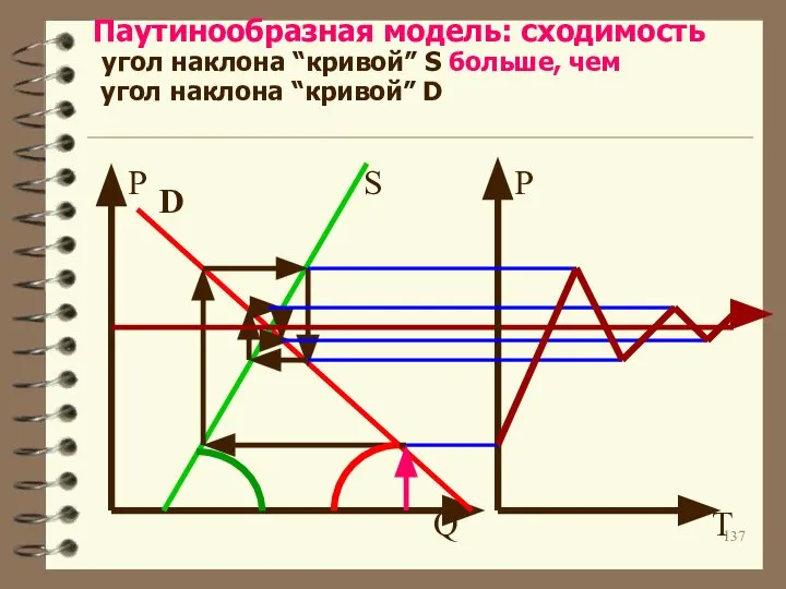 Паутинообразная модель: сходимость угол наклона “кривой” S больше, чем угол наклона