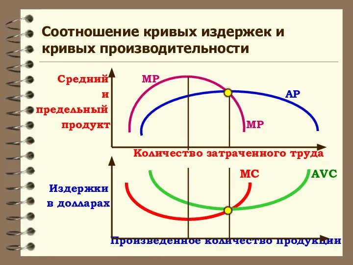 Соотношение кривых издержек и кривых производительности Средний MP и AP предельный