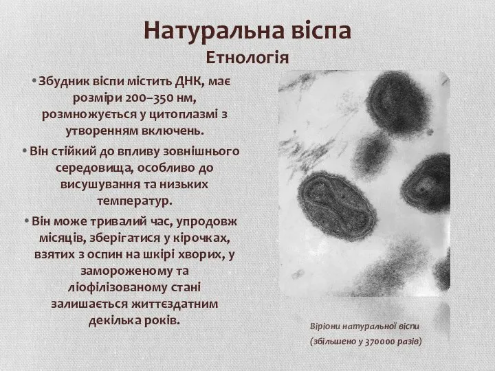 Натуральна віспа Етнологія Збудник віспи містить ДНК, має розміри 200–350 нм,