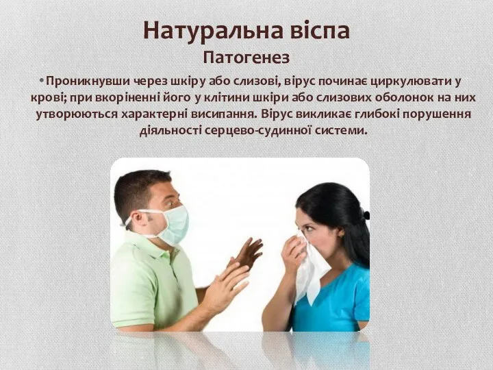 Натуральна віспа Патогенез Проникнувши через шкіру або слизові, вірус починає циркулювати