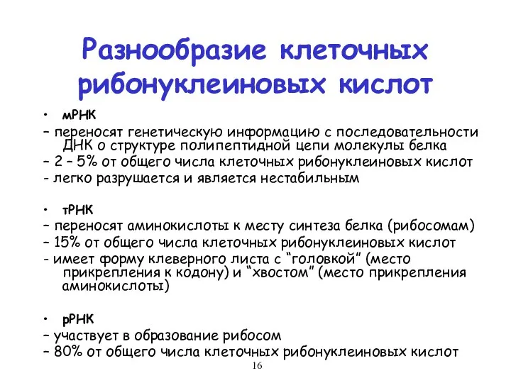 Разнообразие клеточных рибонуклеиновых кислот мРНК – переносят генетическую информацию с последовательности