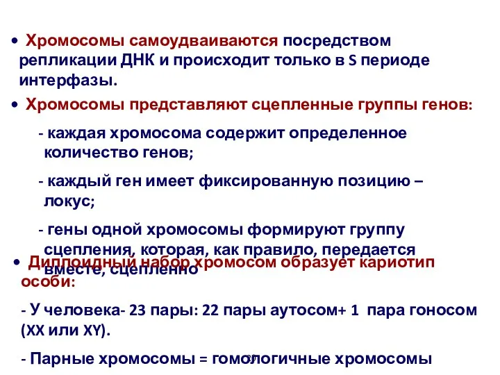 Хромосомы самоудваиваются посредством репликации ДНК и происходит только в S периоде