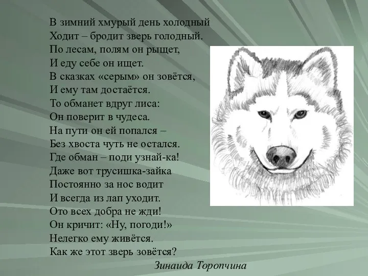 В зимний хмурый день холодный Ходит – бродит зверь голодный. По