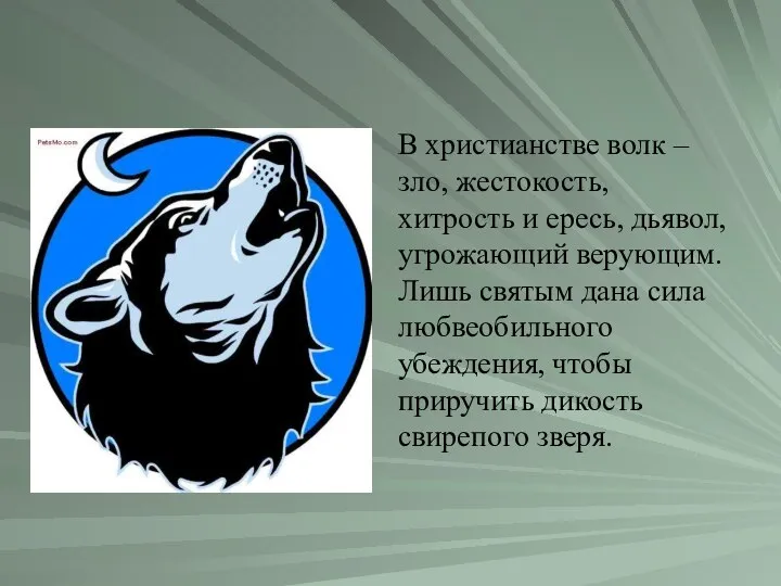 В христианстве волк – зло, жестокость, хитрость и ересь, дьявол, угрожающий