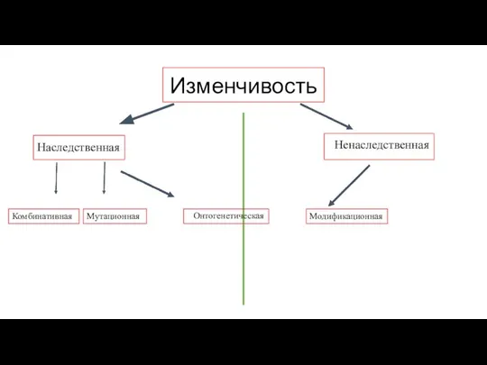 Изменчивость Наследственная Ненаследственная Комбинативная Мутационная Онтогенетическая Модификационная