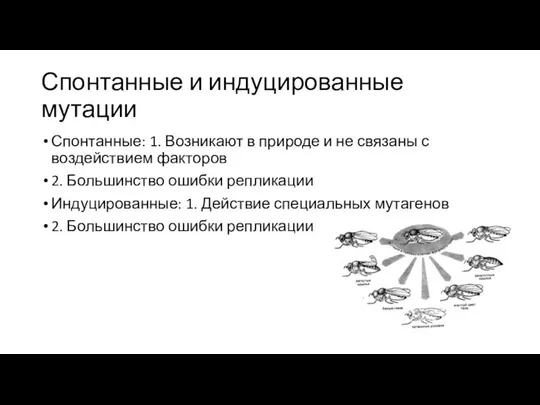 Спонтанные и индуцированные мутации Спонтанные: 1. Возникают в природе и не