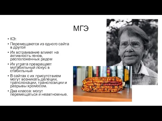 МГЭ КЭ: Перемещаются из одного сайта в другой Их встраивание влияет