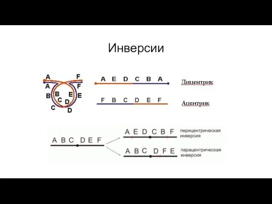 Инверсии