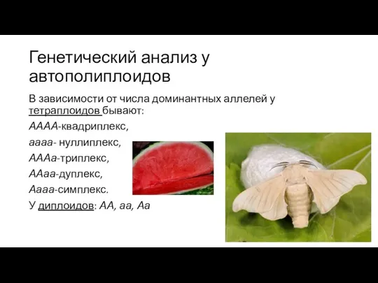 Генетический анализ у автополиплоидов В зависимости от числа доминантных аллелей у