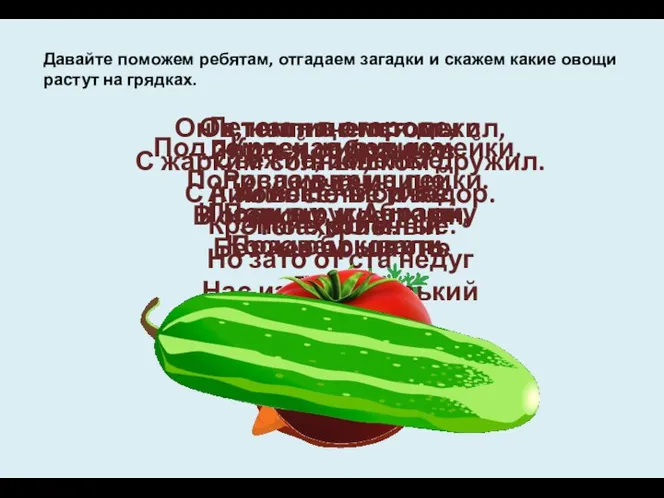 Давайте поможем ребятам, отгадаем загадки и скажем какие овощи растут на