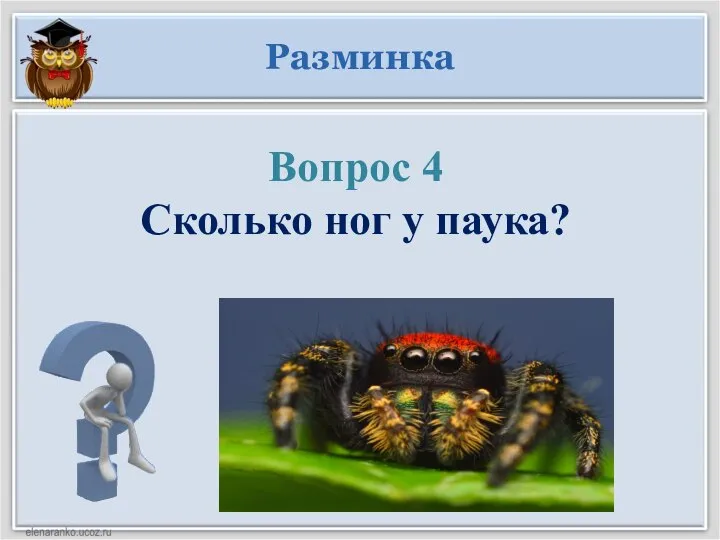 Разминка Вопрос 4 Сколько ног у паука?