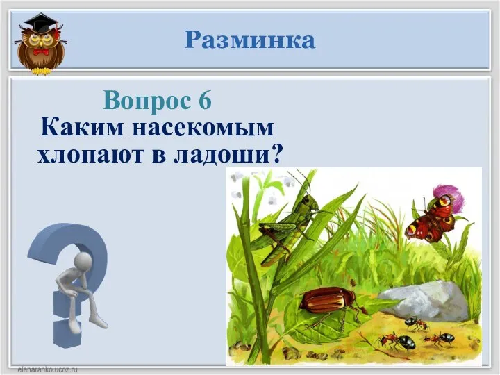 Разминка Вопрос 6 Каким насекомым хлопают в ладоши?