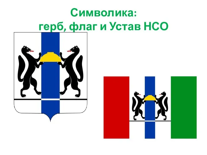 Символика: герб, флаг и Устав НСО