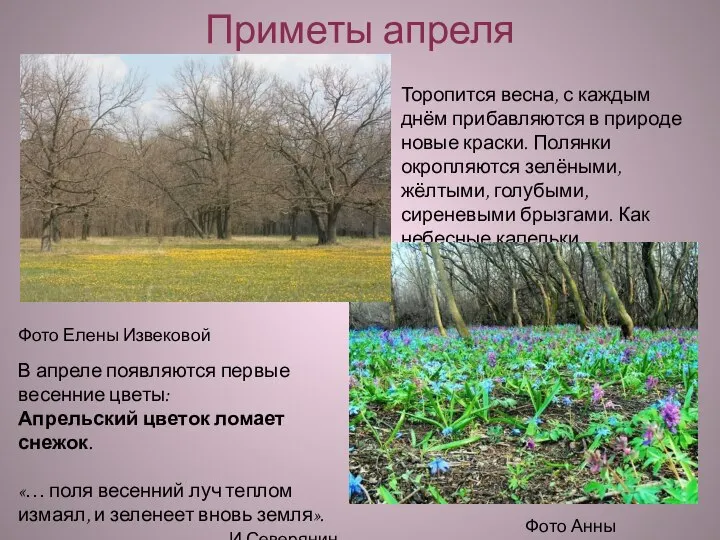 Приметы апреля Фото Елены Извековой Фото Анны Ковалёвой Торопится весна, с