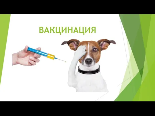 ВАКЦИНАЦИЯ