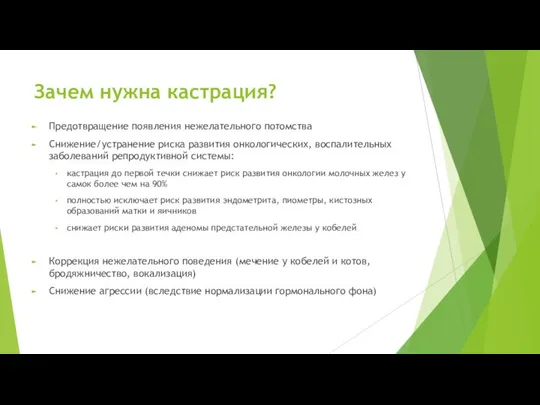 Зачем нужна кастрация? Предотвращение появления нежелательного потомства Снижение/устранение риска развития онкологических,