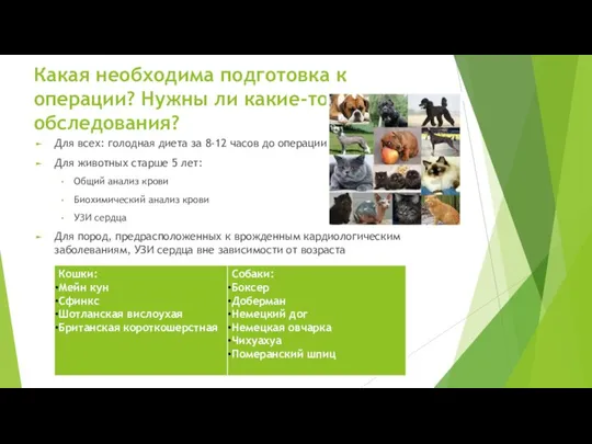 Какая необходима подготовка к операции? Нужны ли какие-то обследования? Для всех: