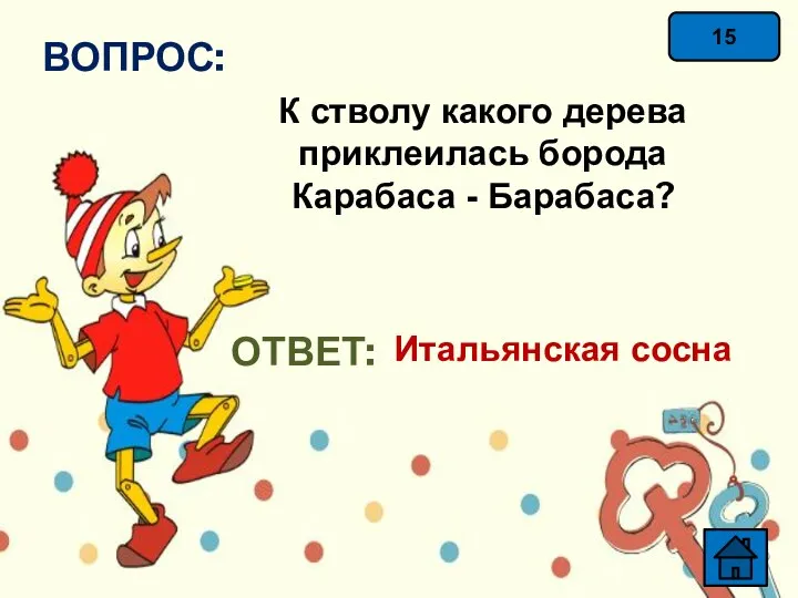 15 ВОПРОС: К стволу какого дерева приклеилась борода Карабаса - Барабаса? ОТВЕТ: Итальянская сосна