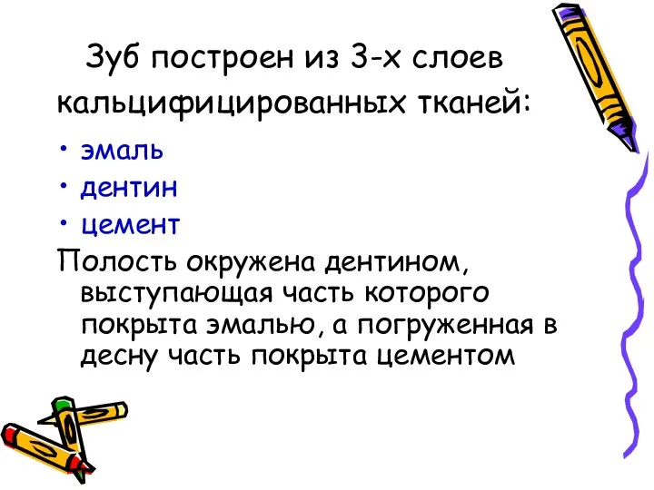 Зуб построен из 3-х слоев кальцифицированных тканей: эмаль дентин цемент Полость