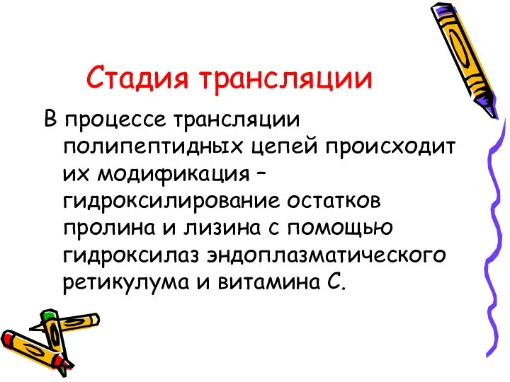 Стадия трансляции В процессе трансляции полипептидных цепей происходит их модификация –