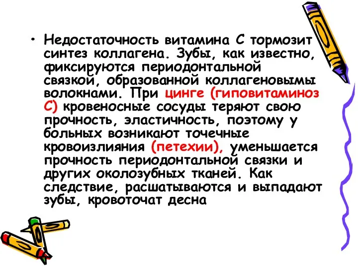 Недостаточность витамина С тормозит синтез коллагена. Зубы, как известно, фиксируются периодонтальной