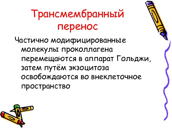 Трансмембранный перенос Частично модифицированные молекулы проколлагена перемещаются в аппарат Гольджи, затем