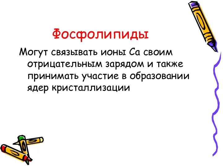 Фосфолипиды Могут связывать ионы Са своим отрицательным зарядом и также принимать участие в образовании ядер кристаллизации