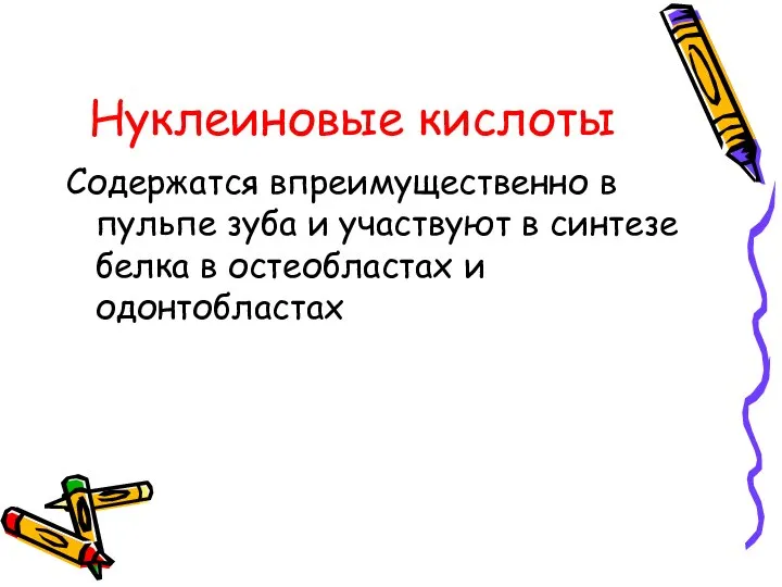 Нуклеиновые кислоты Содержатся впреимущественно в пульпе зуба и участвуют в синтезе белка в остеобластах и одонтобластах