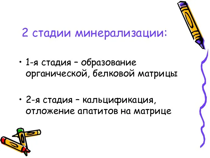 2 стадии минерализации: 1-я стадия – образование органической, белковой матрицы 2-я