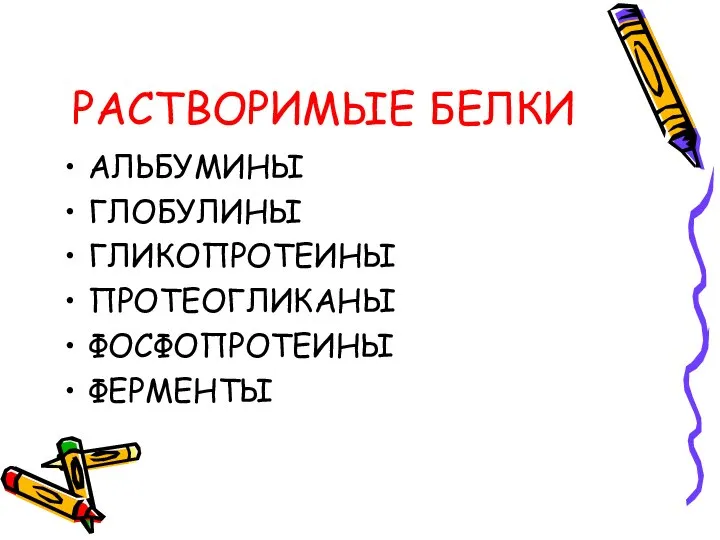 РАСТВОРИМЫЕ БЕЛКИ АЛЬБУМИНЫ ГЛОБУЛИНЫ ГЛИКОПРОТЕИНЫ ПРОТЕОГЛИКАНЫ ФОСФОПРОТЕИНЫ ФЕРМЕНТЫ