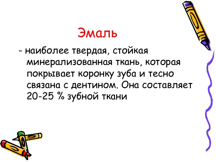 Эмаль - наиболее твердая, стойкая минерализованная ткань, которая покрывает коронку зуба