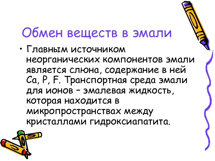 Обмен веществ в эмали Главным источником неорганических компонентов эмали является слюна,