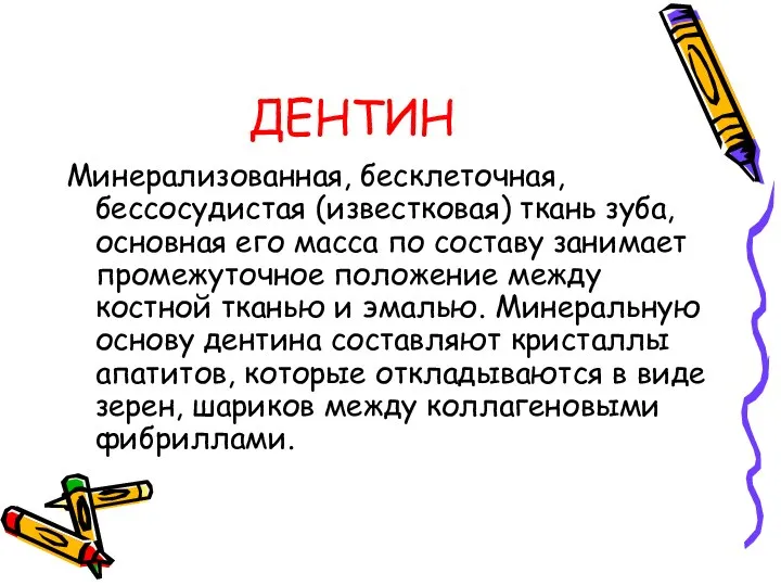 ДЕНТИН Минерализованная, бесклеточная, бессосудистая (известковая) ткань зуба, основная его масса по