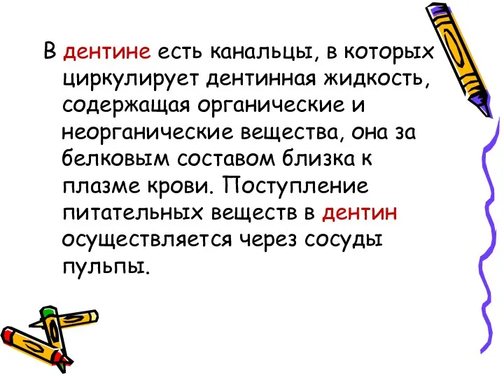 В дентине есть канальцы, в которых циркулирует дентинная жидкость, содержащая органические