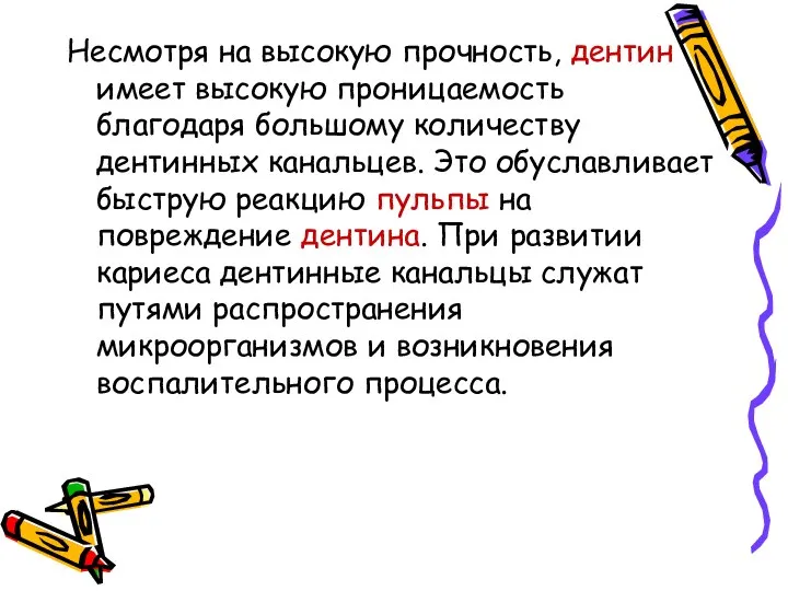 Несмотря на высокую прочность, дентин имеет высокую проницаемость благодаря большому количеству