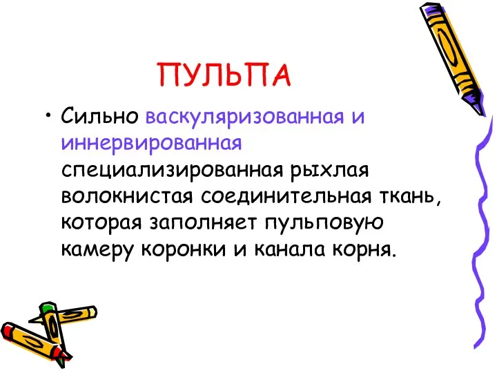 ПУЛЬПА Сильно васкуляризованная и иннервированная специализированная рыхлая волокнистая соединительная ткань, которая