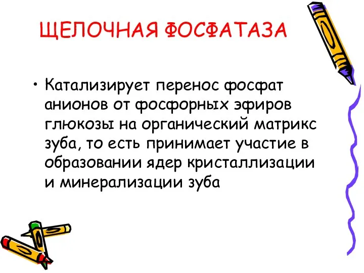 ЩЕЛОЧНАЯ ФОСФАТАЗА Катализирует перенос фосфат анионов от фосфорных эфиров глюкозы на