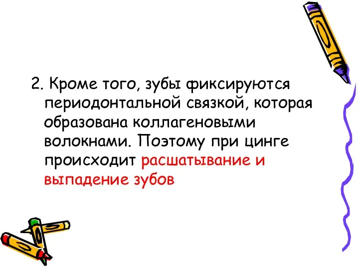 2. Кроме того, зубы фиксируются периодонтальной связкой, которая образована коллагеновыми волокнами.