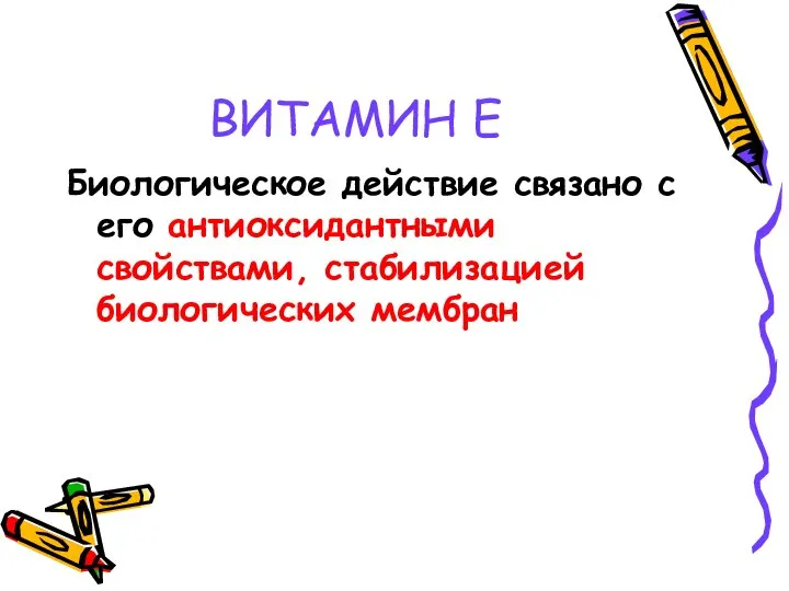 ВИТАМИН Е Биологическое действие связано с его антиоксидантными свойствами, стабилизацией биологических мембран